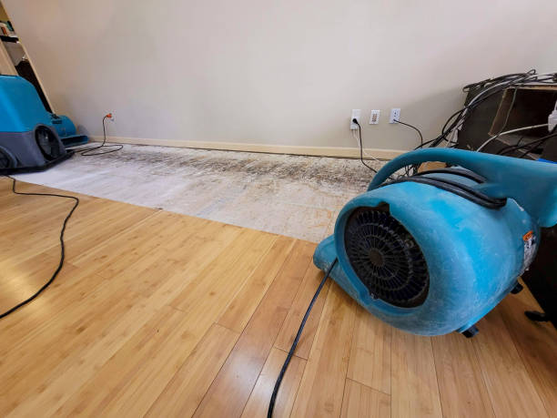 Professional Basement Flood Cleanup technician working in Melvin, MI